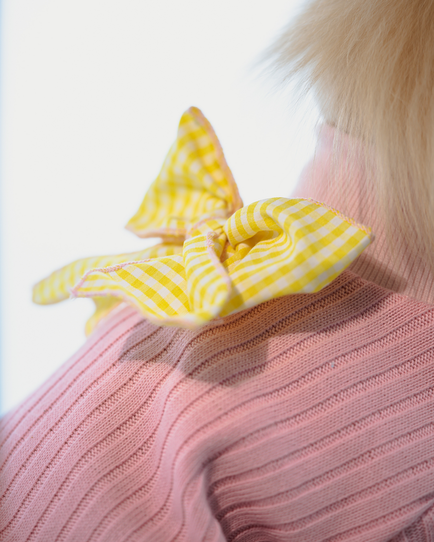 Playera Dahlia