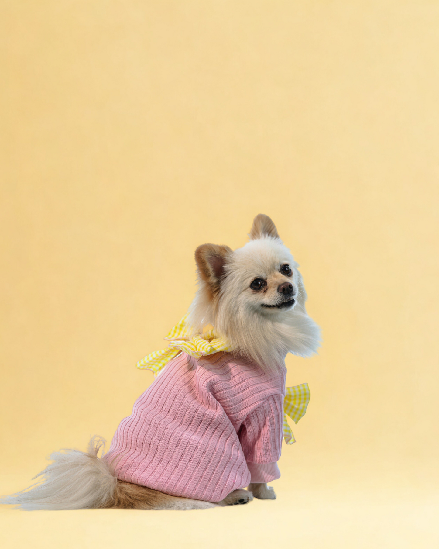 Playera Dahlia