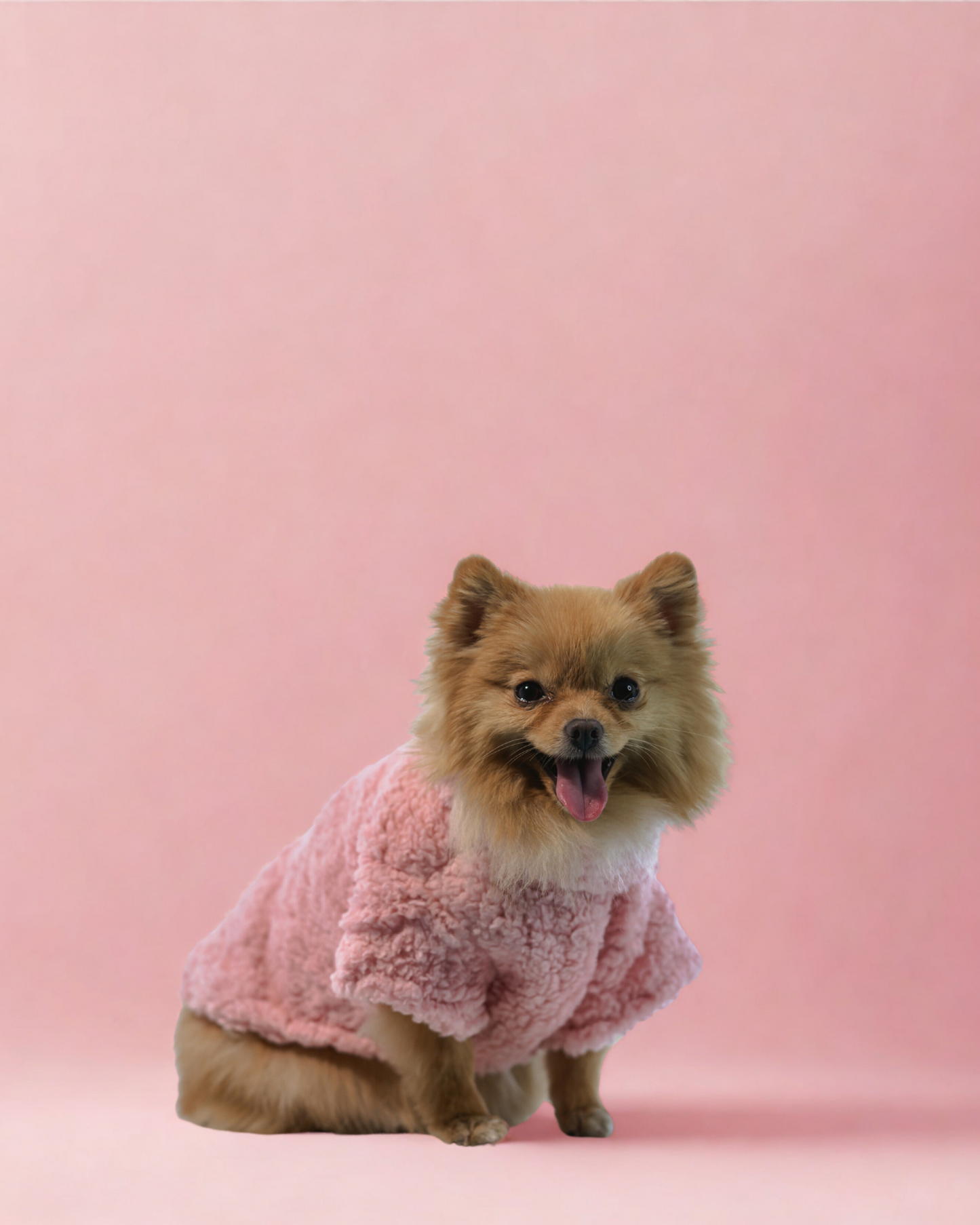 Suéter Teddy Rose
