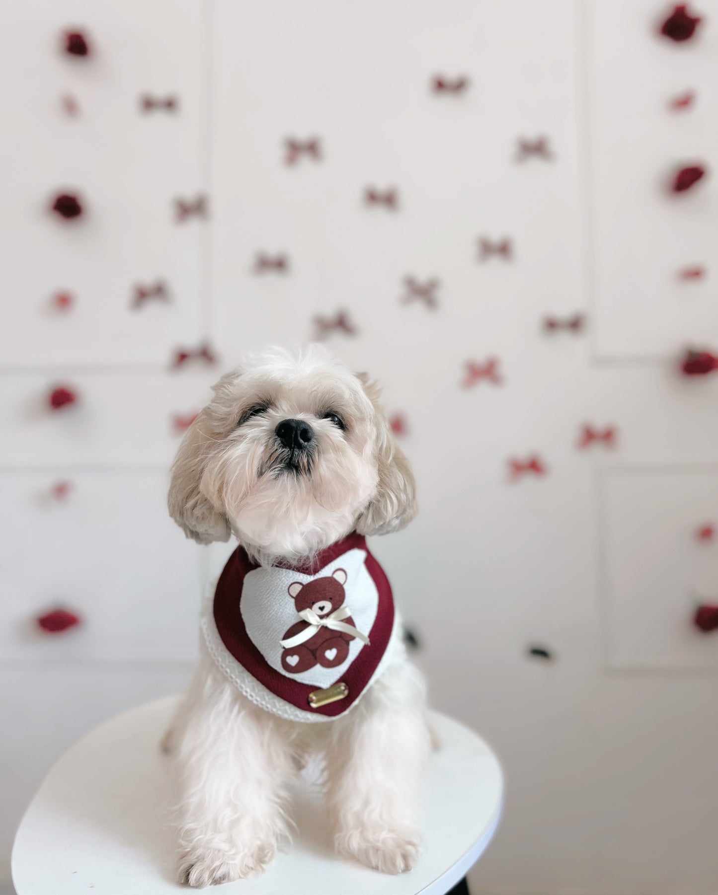 Bandana | Teddy