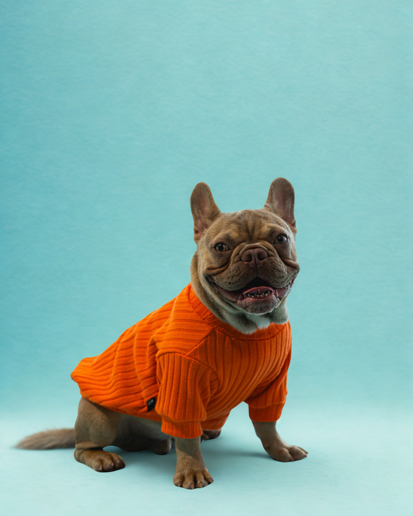 Playera Orange