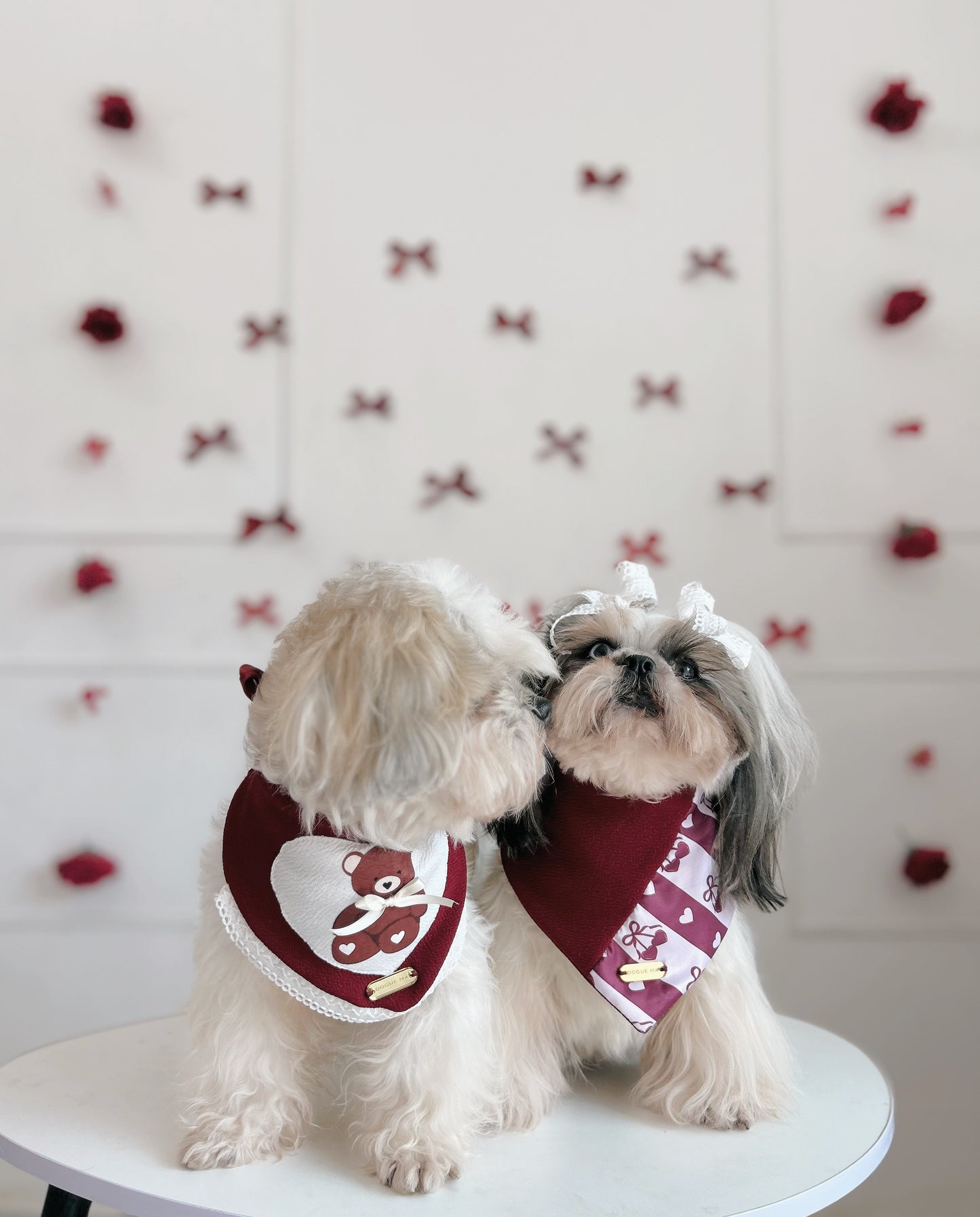 Bandana | Teddy