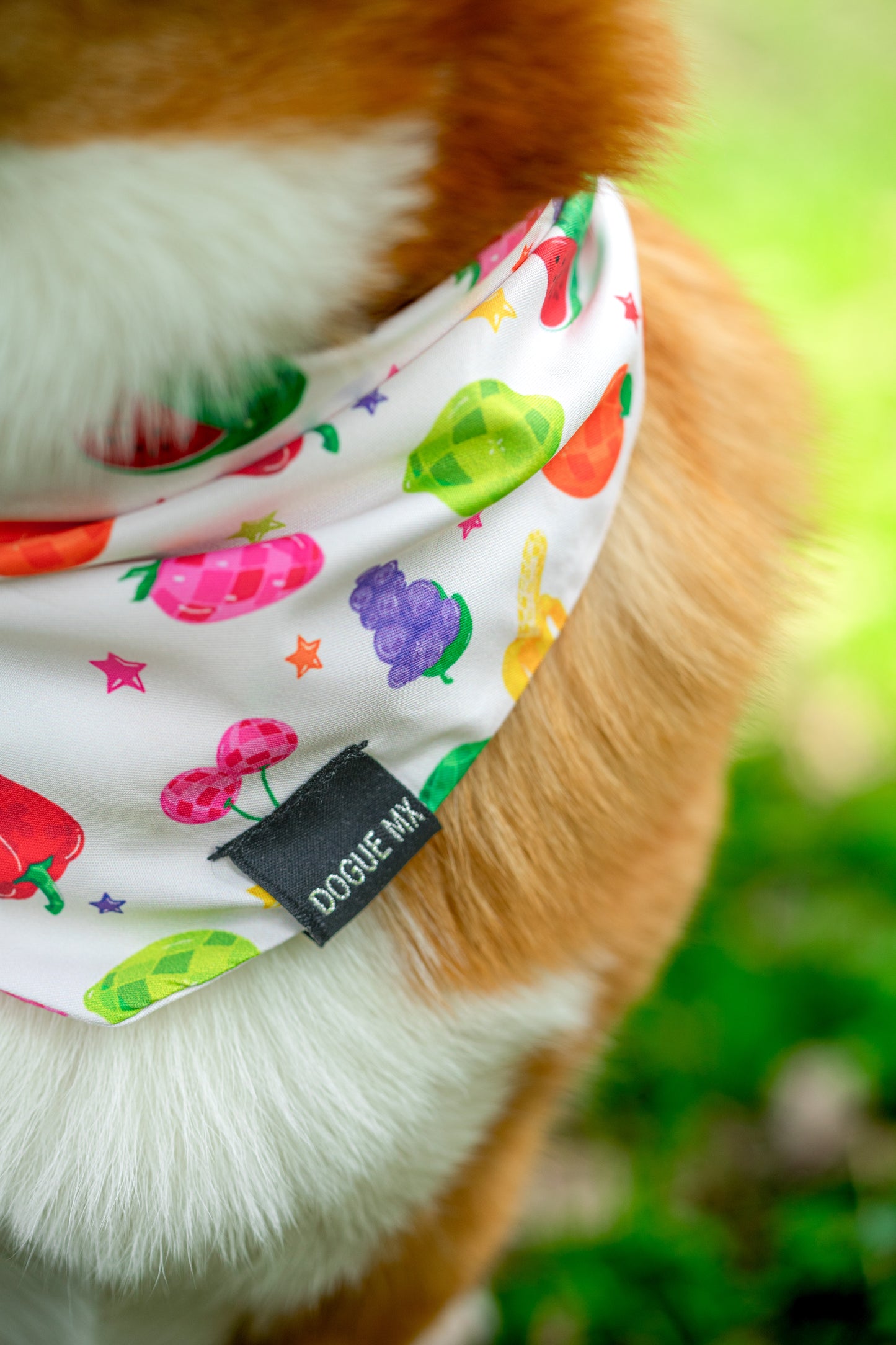 BANDANA| FRUTAS