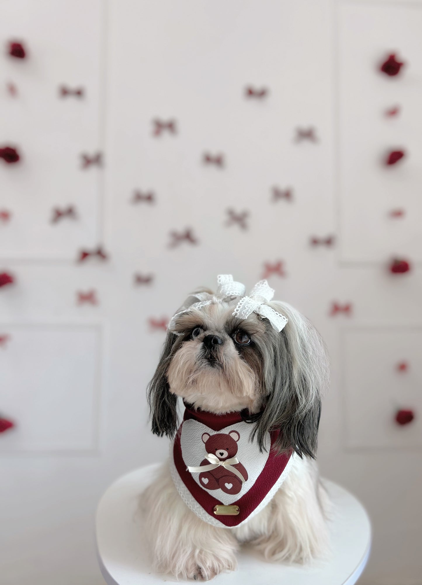 Bandana | Teddy