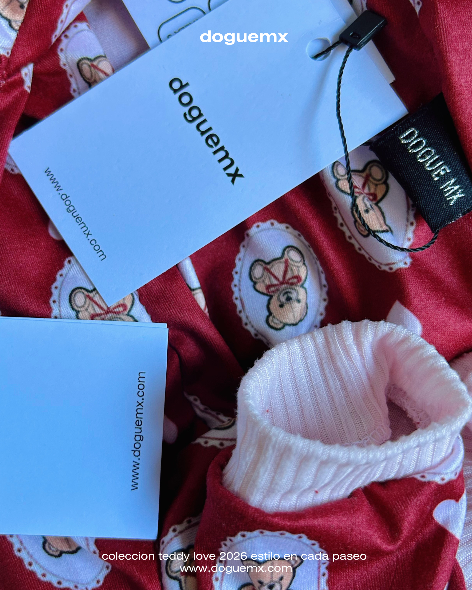 TEDDY LOVE 🧸❤️💗