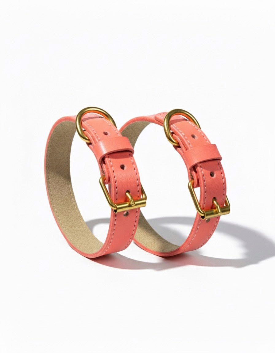COLLAR LUXURY CORAL