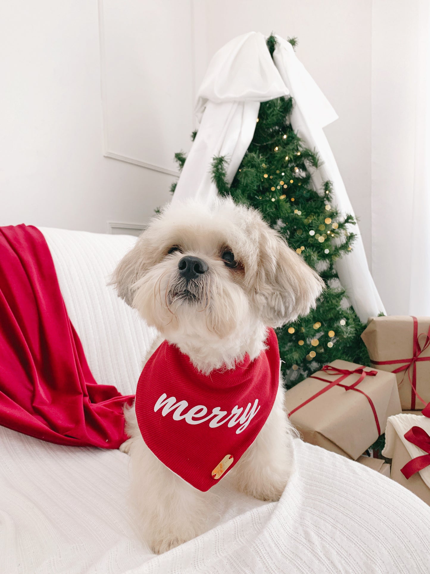 Bandana | Merry