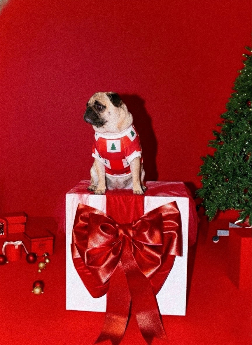 PIJAMA DOG CHRISTMAS TREE