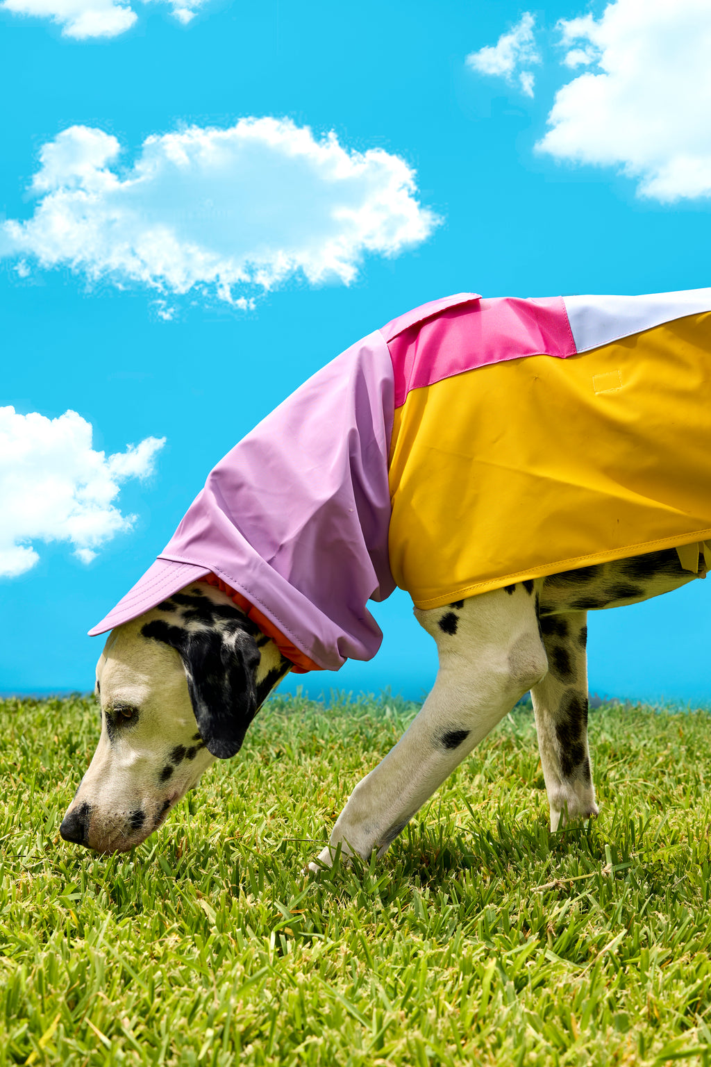 IMPERMEABLE | COLORES