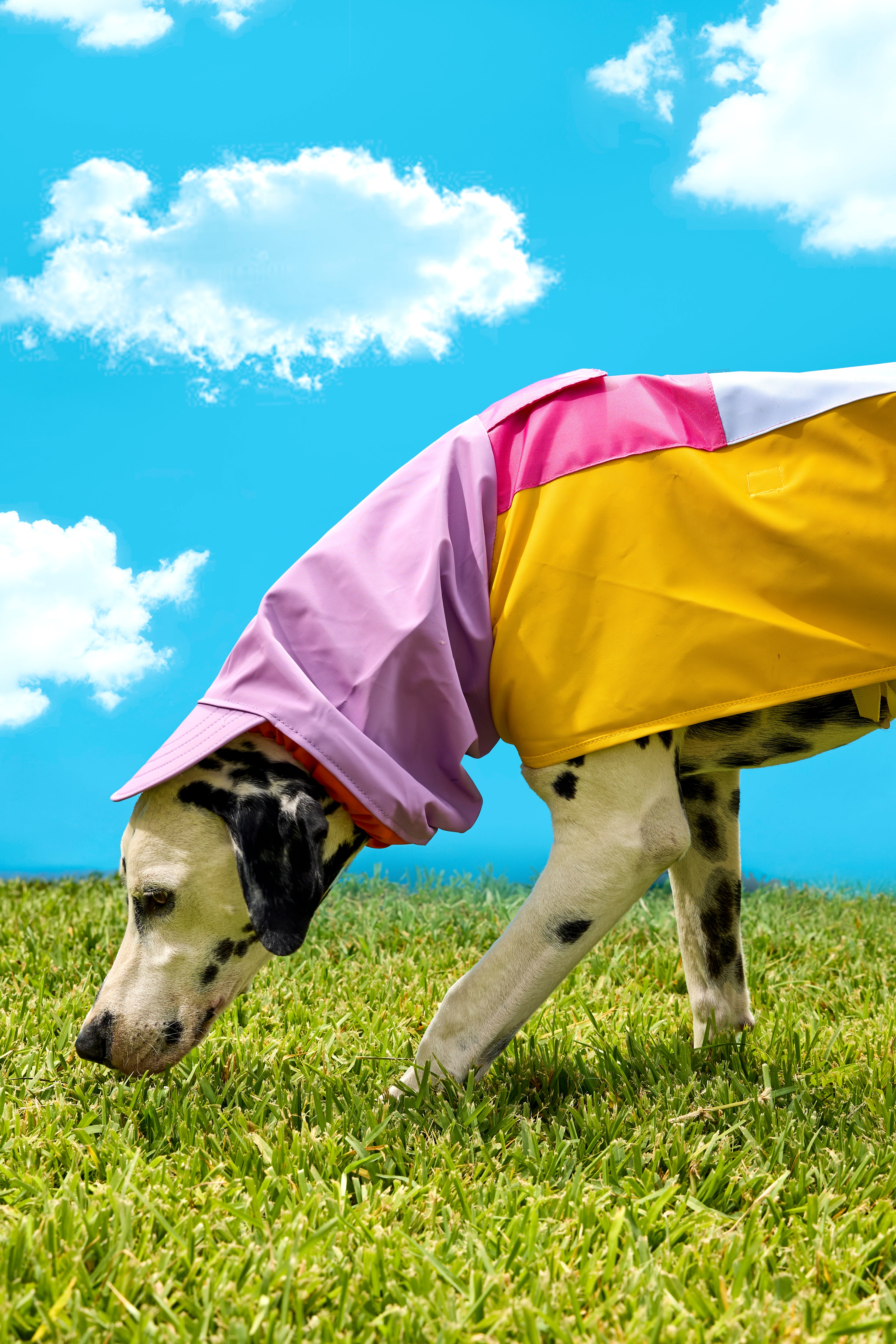 IMPERMEABLE | COLORES