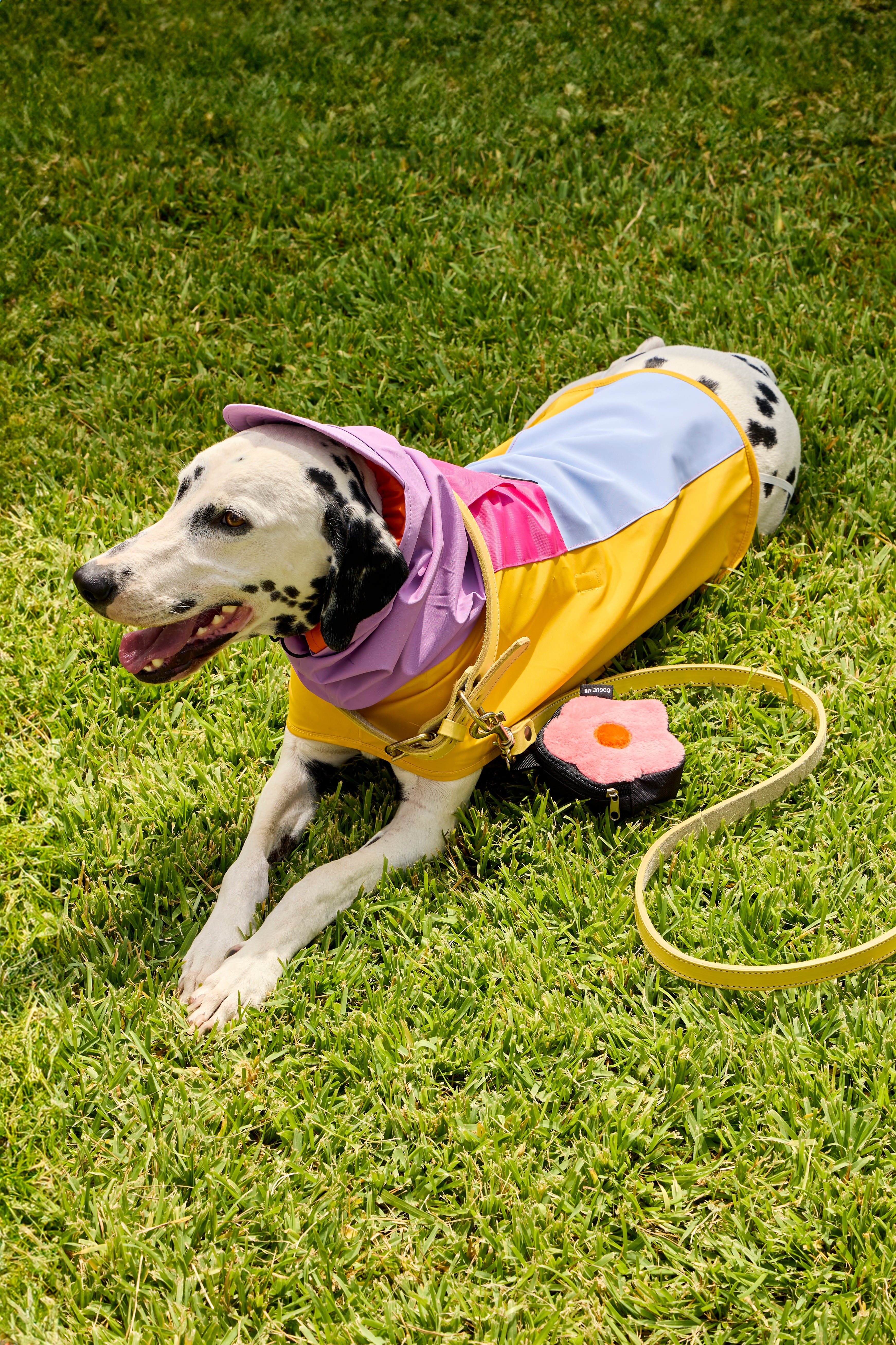 IMPERMEABLE | COLORES
