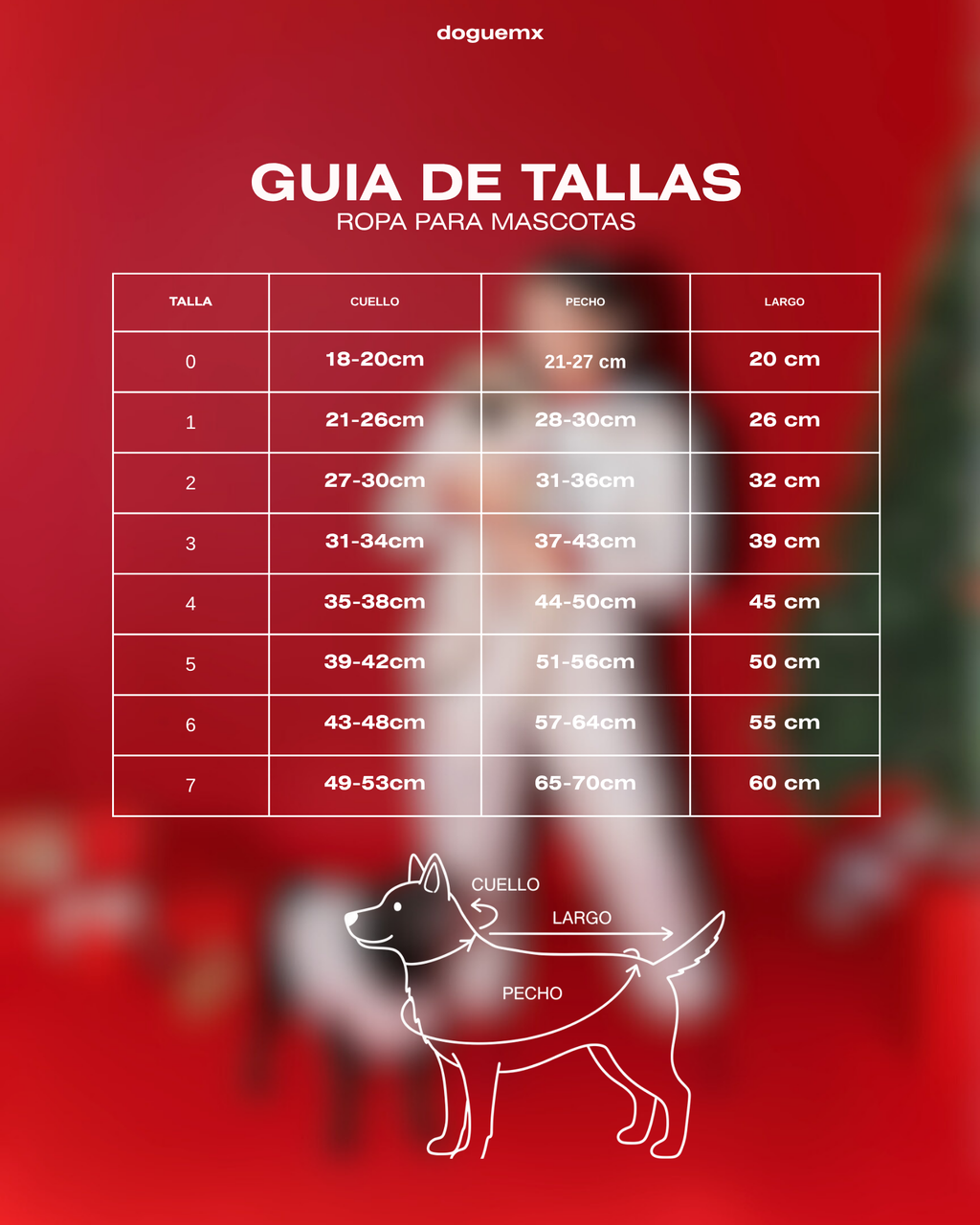 MATCHING PIJAMAS | CHRISTMAS TREE