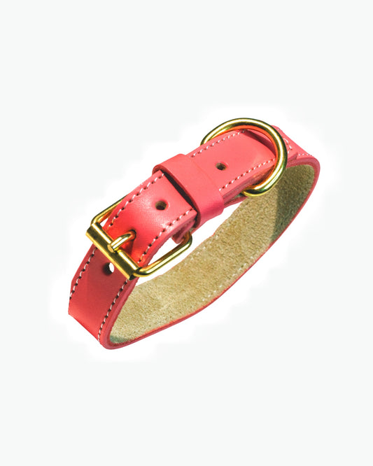 COLLAR LUXURY CORAL