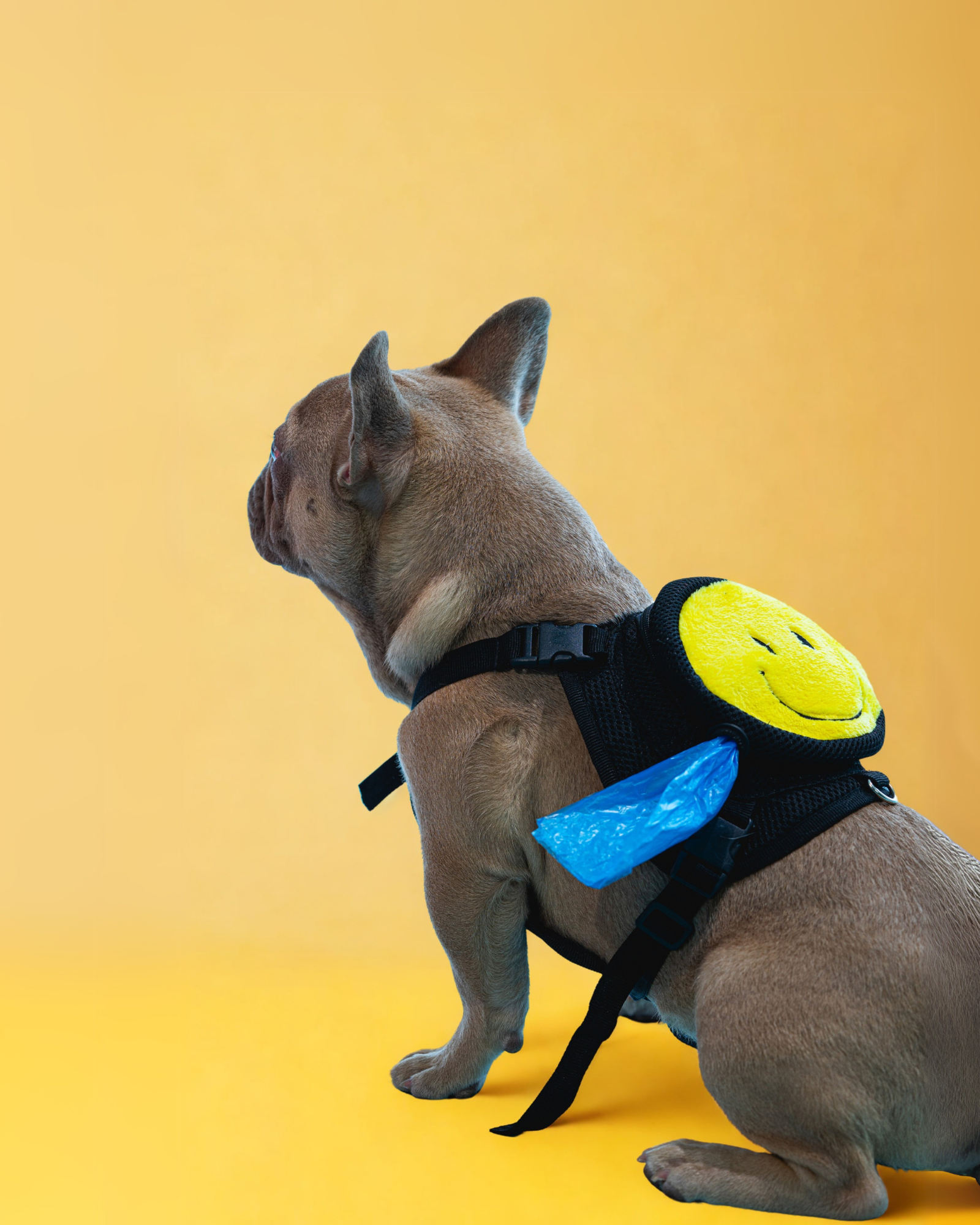 MOCHILA PECHERA | HAPPY