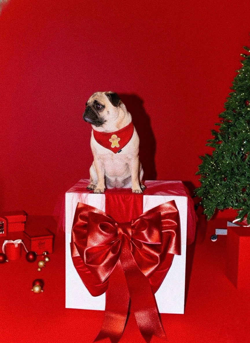 BANDANA | GINGERBREAD