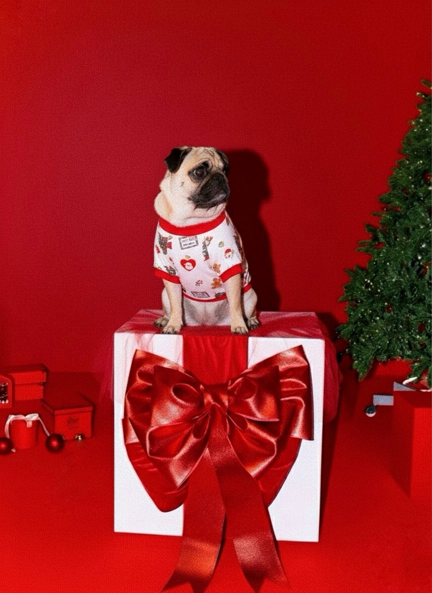 PIJAMA DOG CHRISTMAS
