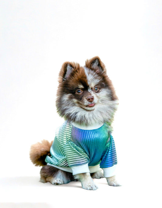 PLAYERA RAINBOW