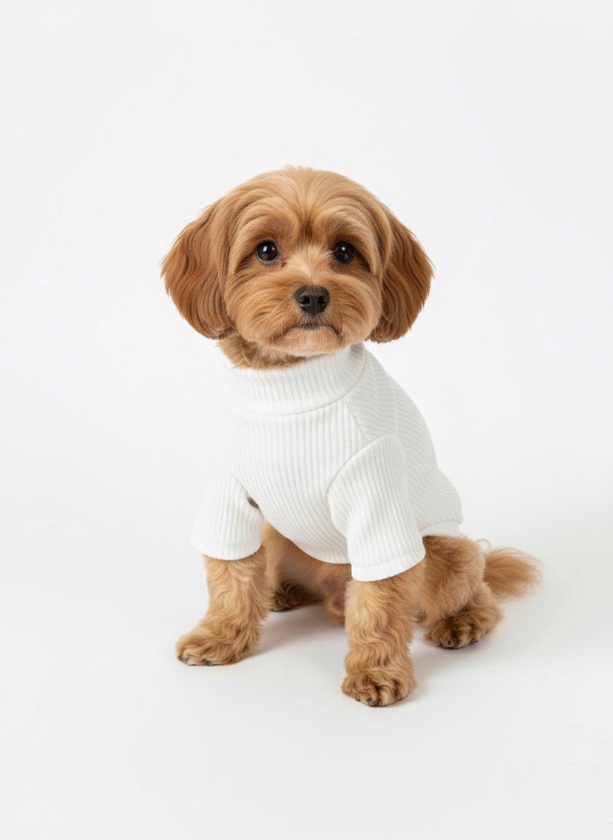 PLAYERA VAINILLA
