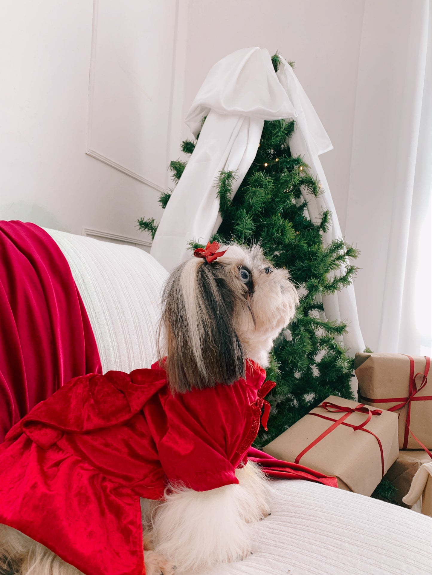 Vestido | Cherry bow