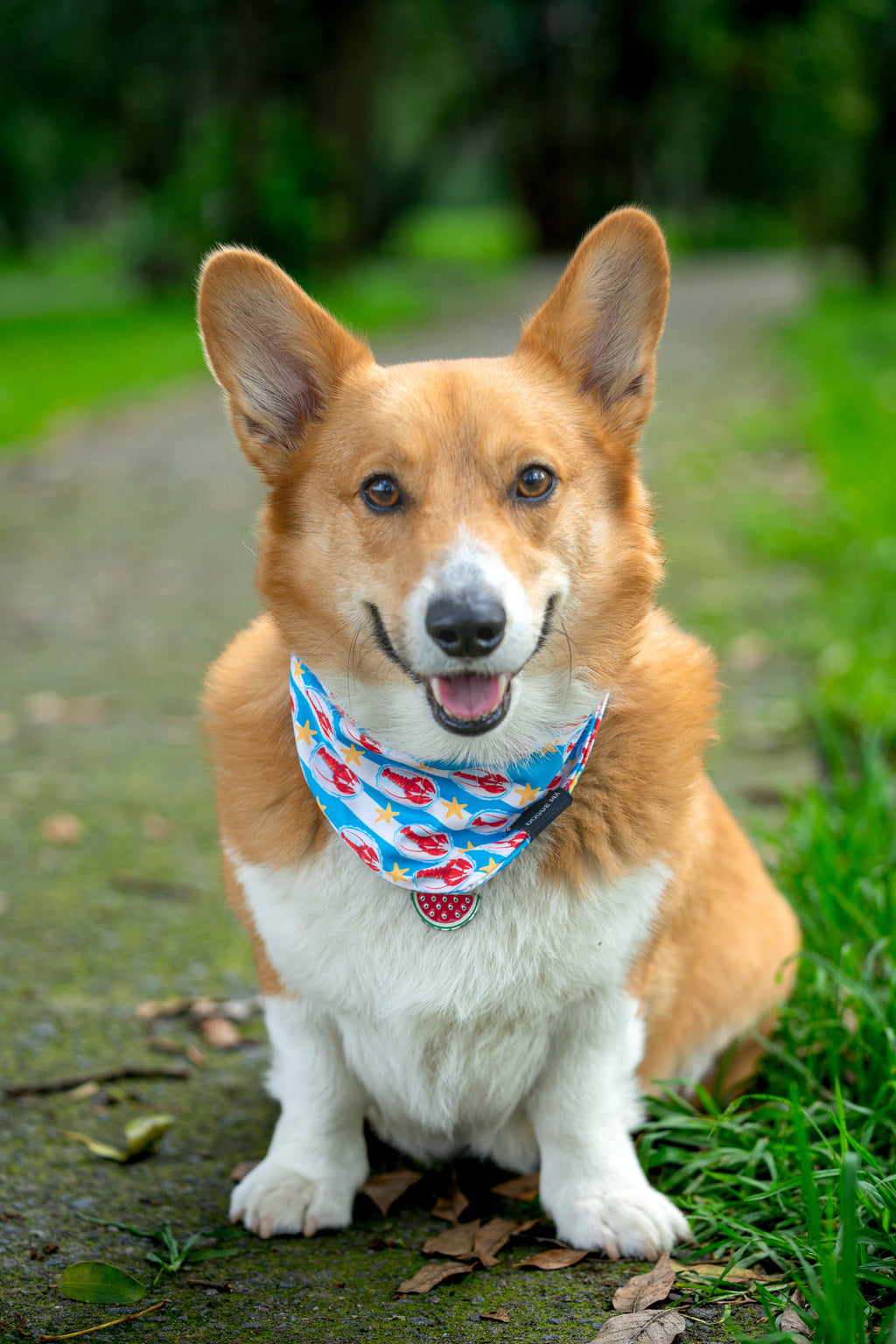 BANDANA| LANGOSTA