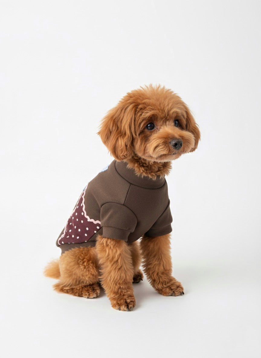 SUDADERA STARS