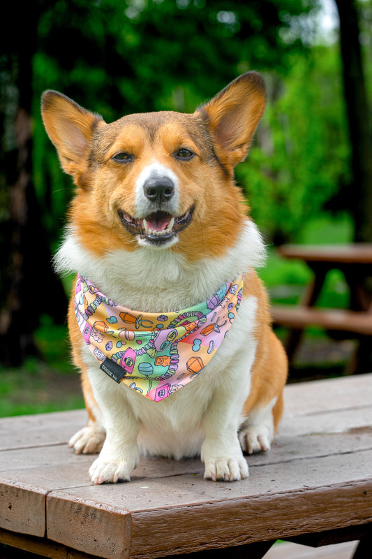 BANDANA| GUMMY