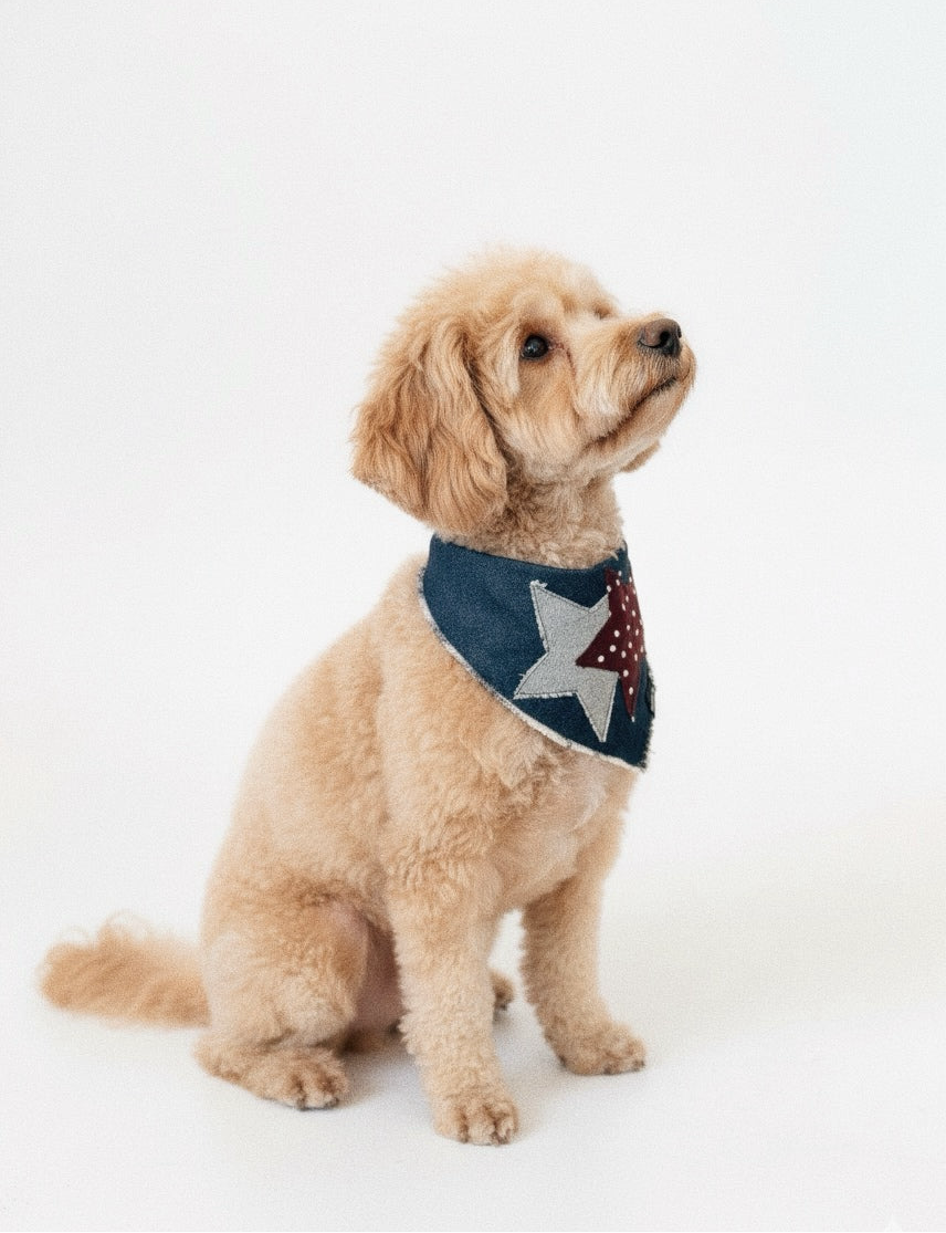 BANDANA STAR