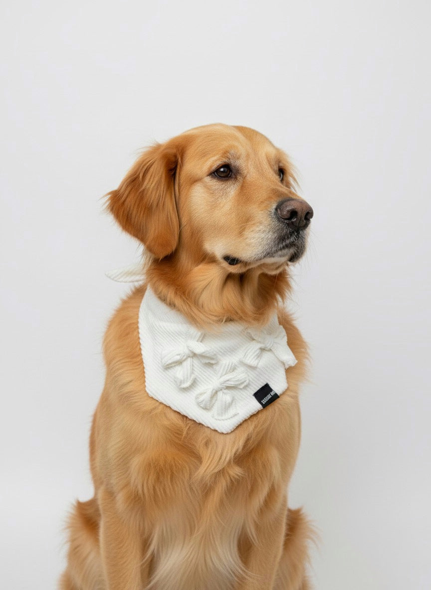 BANDANA CREAM